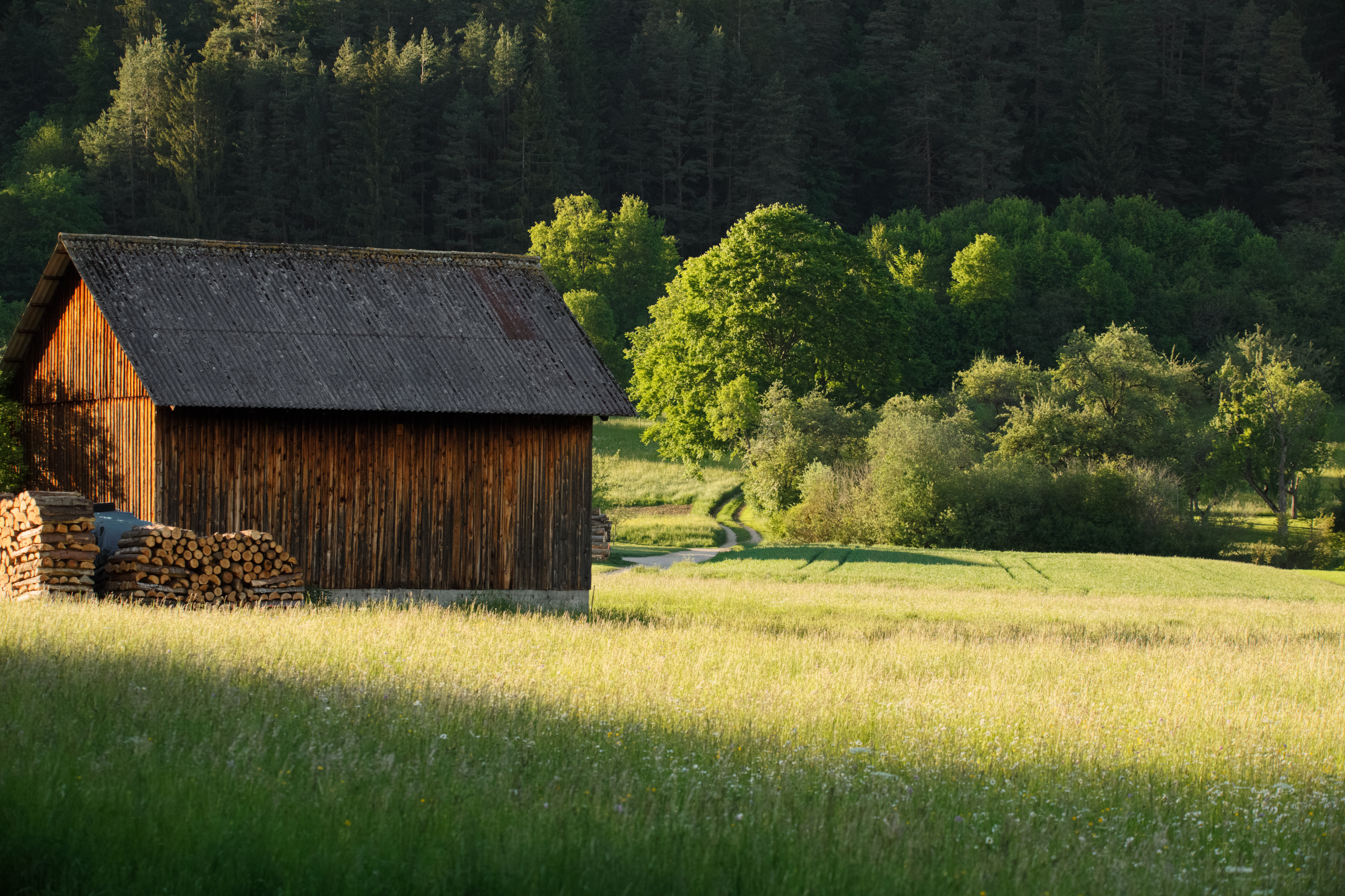 Hütte am Waldrand
